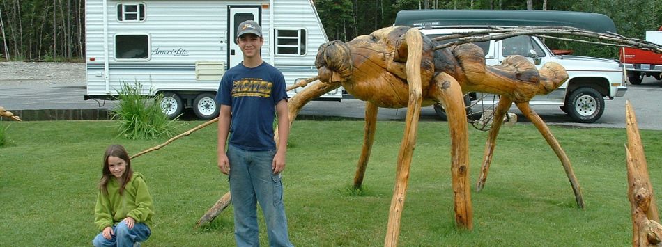 Knotty mosquito