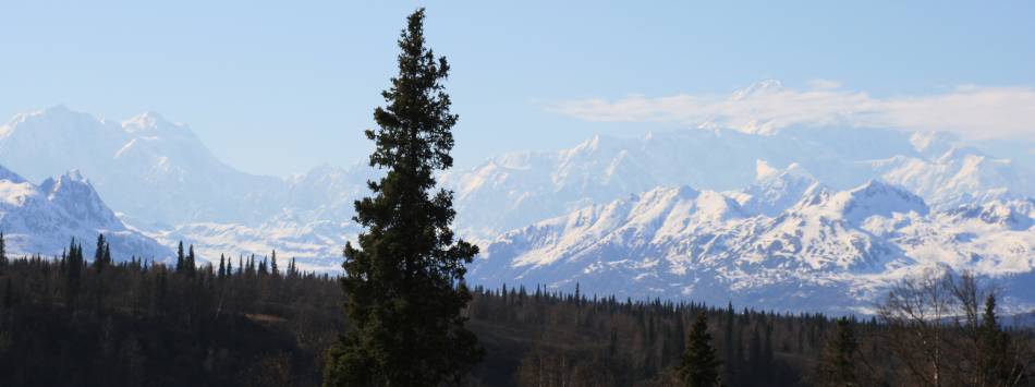 Denali Southern view